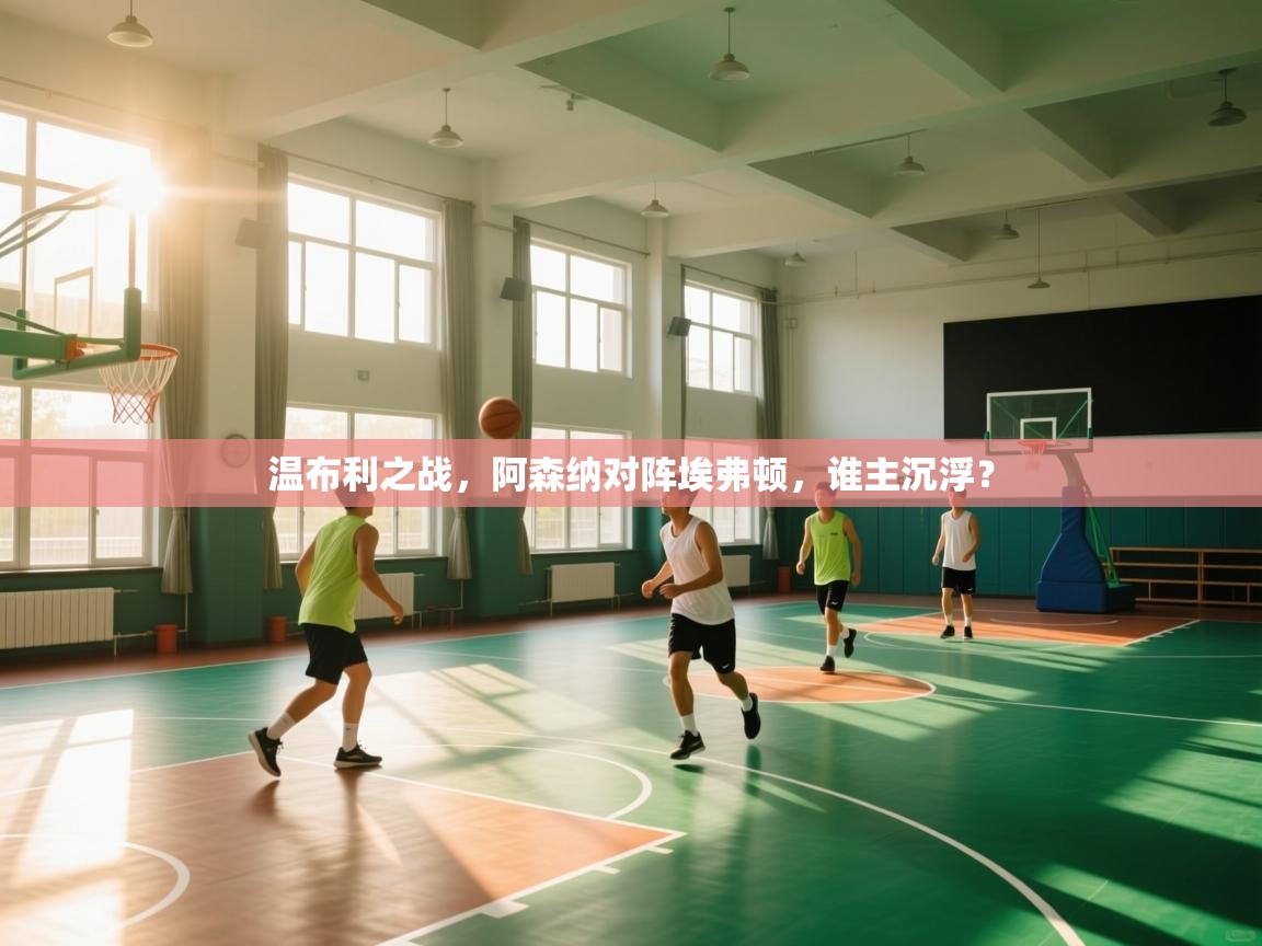 开云体育app官网下载地址-温布利之战,阿森纳对阵埃弗顿,谁主沉浮?  第4张