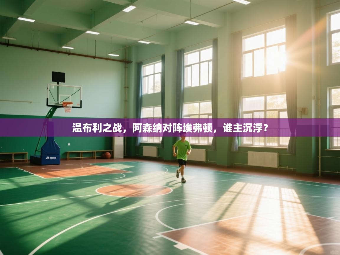 开云体育app官网下载地址-温布利之战,阿森纳对阵埃弗顿,谁主沉浮?  第3张