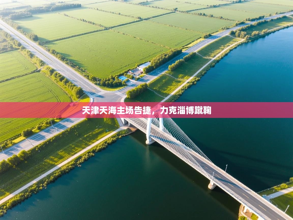 开云体育安装失败怎么办-天津天海主场告捷,力克淄博蹴鞠  第2张