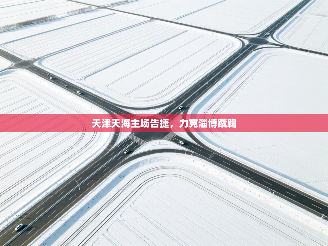 开云体育安装失败怎么办-天津天海主场告捷,力克淄博蹴鞠  第3张