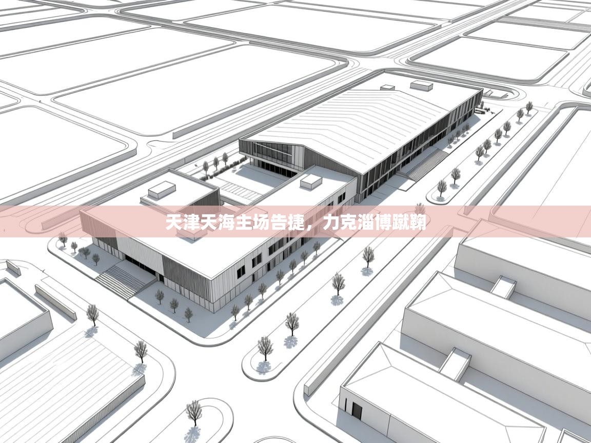 开云体育安装失败怎么办-天津天海主场告捷,力克淄博蹴鞠  第4张